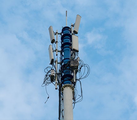 MS - 美狮贵宾会·官方(中国)