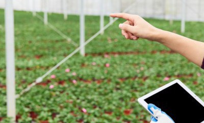 MS - 美狮贵宾会·官方(中国)