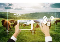 MS - 美狮贵宾会·官方(中国)