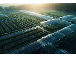 MS - 美狮贵宾会·官方(中国)