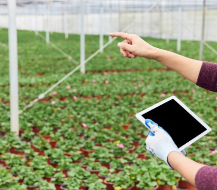 MS - 美狮贵宾会·官方(中国)